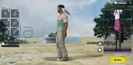 Pets in PUBG Mobile (Credits - XDA Developers)